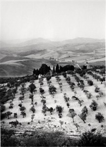 Image description is not available for 2010.120